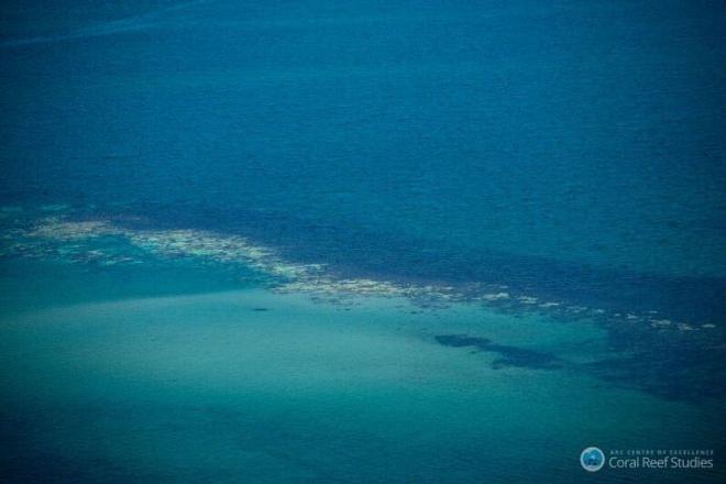 Extensive coral bleaching (white/yellow patches) documented on the Great Barrier Reef during aerial surveys in March 2016 © ARC Centre of Excellence for Coral Reef Studies